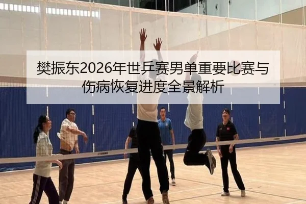 樊振东2026年世乒赛男单重要比赛与伤病恢复进度全景解析